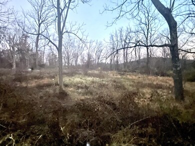 13066 Route 9w, New Baltimore, NY 12124 - photo 4