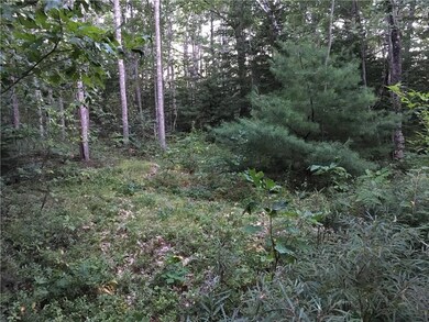 Wooded area of property