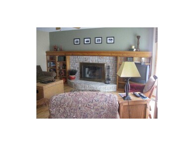 Wood burning Fireplace