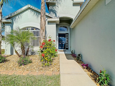 9925 Jasmine Brook Cir, Land O Lakes, FL 34638 - photo 2