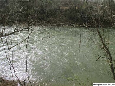 2900 ft of frontage on the Mulberry Fork of the Wa