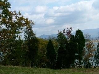 DSCF0462