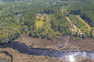 Lot 76 La Sole Ln, Waverly, GA 31565 - photo 4
