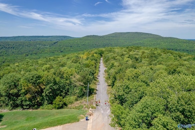 14 Acres Apache Rd NW, Huntsville, AL 35810 - photo 7