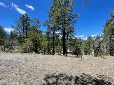 -- Country Road 2276 -- unit 2, Nutrioso, AZ 85932 - photo 7