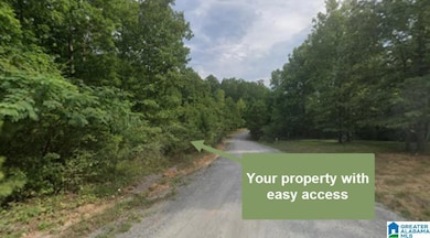0 County Road 907 unit 21435407, Crane Hill, AL 35053 - photo 2
