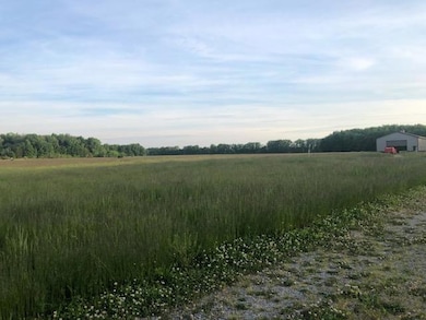 10337 Morrow Woodville Rd, Blanchester, OH 45107 - photo 4