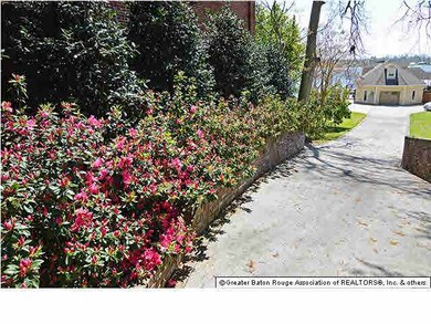 Beautiful azalea lined driveway down to this river