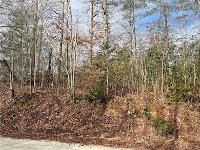 View from Choehee Valley Rd side of the 3.41 acres