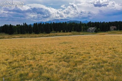 195 Joshua Rd, Divide, CO 80814 - photo 7