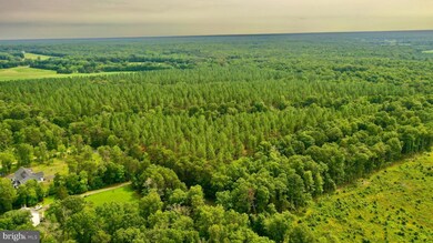 0 Old Mill Rd unit VAFQ2010670, Midland, VA 22728 - photo 4