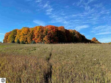 1758 S Morrison Rd, West Branch, MI 48661 - photo 5