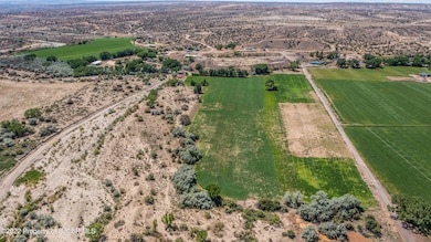 DJI_0619