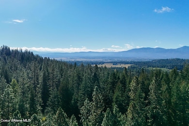 Drone View 5