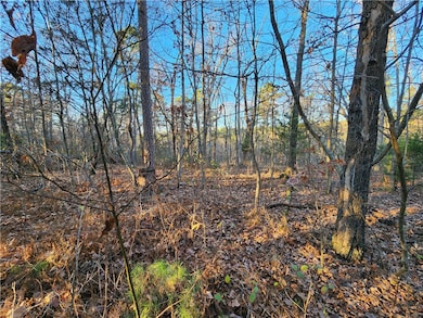 3 Zennor Ln, Bella Vista, AR 72715 - photo 2