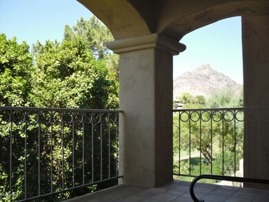 Primary Patio View