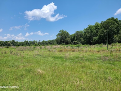 1399 Basstown Rd, Clinton, NC 28328 - photo 3