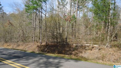 551 Grayton Rd S, Ohatchee, AL 36206 - photo 6