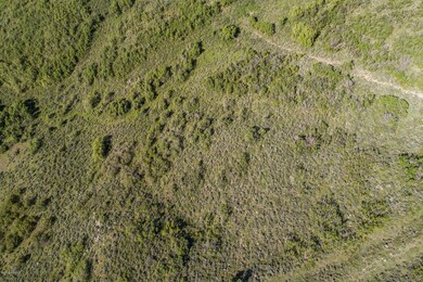 12772 N Deer Mountain Blvd, Heber City, UT 84032 - photo 7