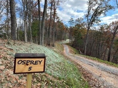 Lot 5 Osprey Mountain Way unit 5, Webster, NC 28779 - photo 2