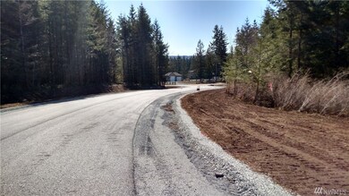 18610 232nd Ave E, Orting, WA 98360 - photo 6