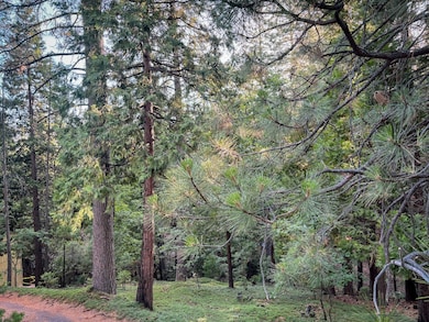 1800 Kit Carson Cir, Arnold, CA 95223 - photo 4