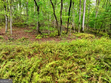 LOT 45 Synacia Dr, Mineral Bluff, GA 30559 - photo 6