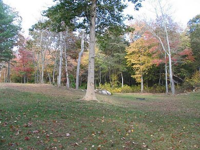 Land/Lot. Right side of lot