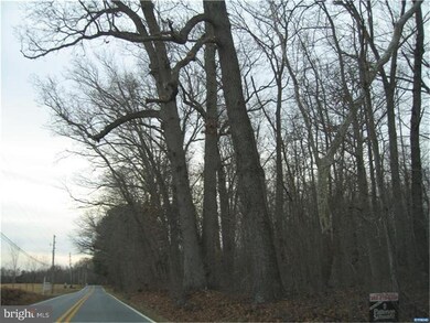 1399 Flat Iron Rd, Harrington, DE 19952 - photo 7