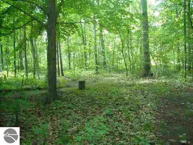 5899 Huron Woods Dr, Tawas City, MI 48763 - photo 4