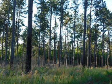 00 Hurst Tate Rd, Meigs, GA 31765 - photo 4