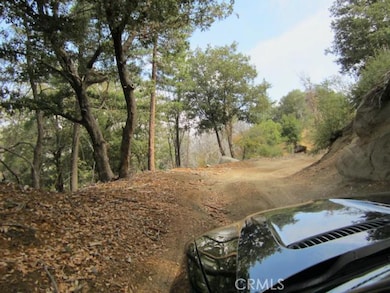 0 N Burnt Mill Canyon Rd unit SR25190570, Cedarpines Park, CA 92322 - photo 7