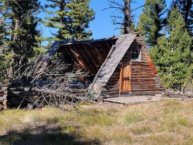 323 Trails End Ln, Helmville, MT 59843 - photo 3