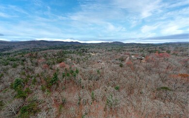 Lt 40 Lt 40 Harbin Woods, Morganton, GA 30560 - photo 7