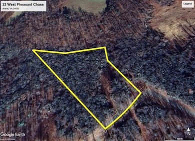 Lot 23 W Pheasant Chase, Ararat, VA 24053 - photo 4