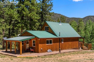 546 Pulver Rd, Lake George, CO 80827 - photo 4
