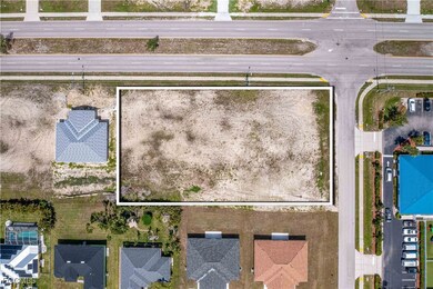 2916 Skyline Blvd, Cape Coral, FL 33914 - photo 7