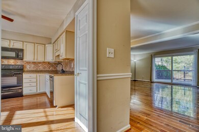 12 Pinecone Ct, Parkville, MD 21234 - photo 5