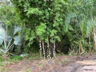 6015 Eureka Springs Rd, Tampa, FL 33610 - photo 5