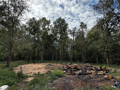 27102 Springwood Dr, Magnolia, TX 77354 - photo 4