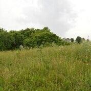 3 Bradford Ln, Harrodsburg, KY 40330 - photo 7