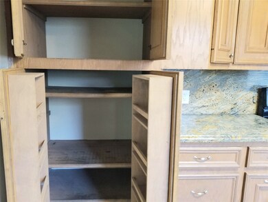 Pantry in kitchen with handy cans/spice shelves.