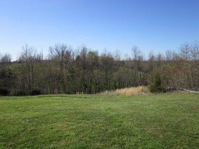 1100 Polin Rd, Willisburg, KY 40078 - photo 4
