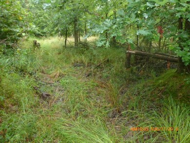 17.53 Ac W Lupine Ln, Cutler, WI 54618 - photo 6