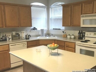 24610 Alamosa Falls, San Antonio, TX 78255 - photo 2