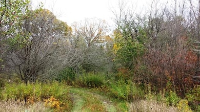 land
