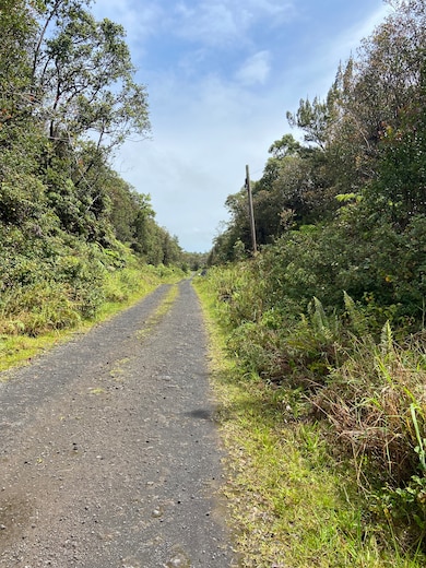 0 Road 4 unit 724078, Volcano, HI 96785 - photo 2