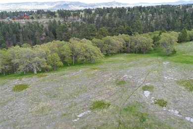 Lot 18 Block 1 Cedar Berry Dr, Spearfish, SD 57783 - photo 7