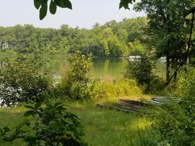 2267 W Lake Shore Dr, Bitely, MI 49309 - photo 2