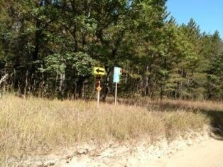 5353 W 32nd St, Baldwin, MI 49304 - photo 5